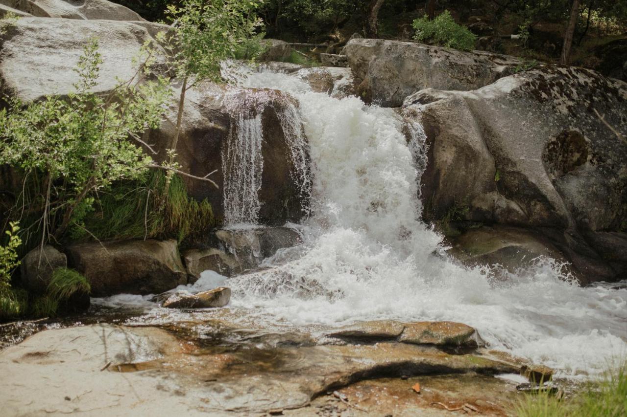 Riverfront Property With Waterfalls Near Yosemite And Bass Lake آوكهيرست المظهر الخارجي الصورة